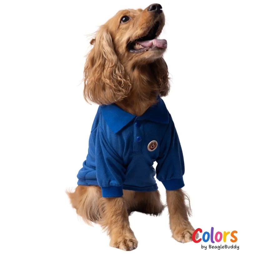 Camiseta Polo Azul Rey - BeagleBuddy