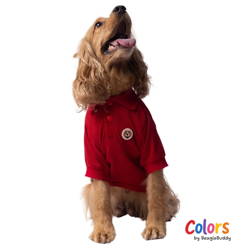 Camiseta Polo Roja - BeagleBuddy