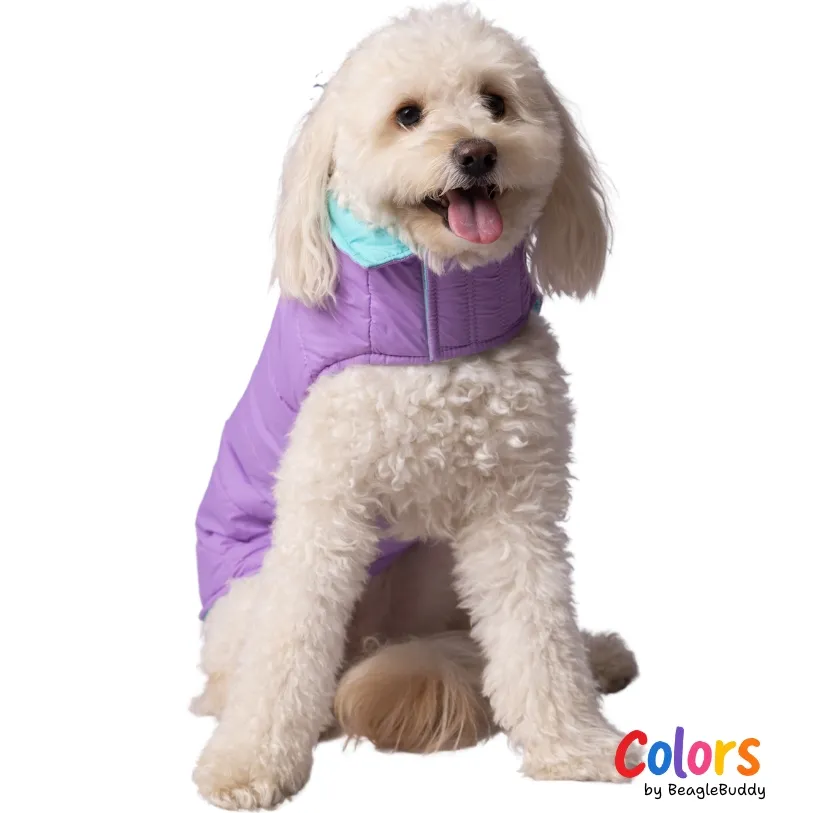 Chaleco doble faz Lila Menta - BeagleBuddy