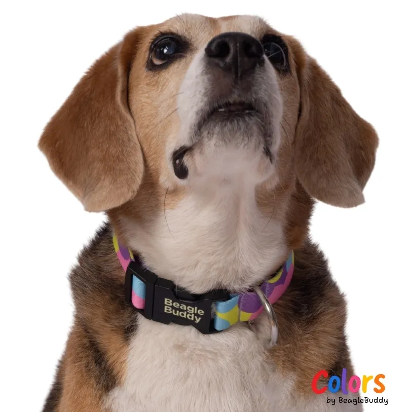 Collar en reata Ref. LUNA - BeagleBuddy