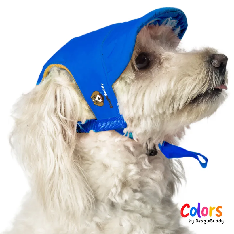 Gorra Azul Rey - BeagleBuddy
