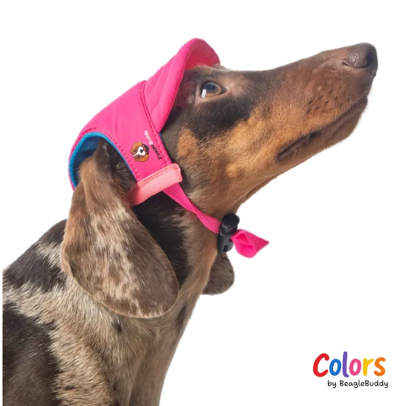 Gorra Fucsia - BeagleBuddy