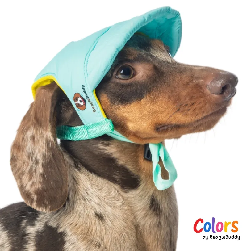 Gorra Menta - BeagleBuddy