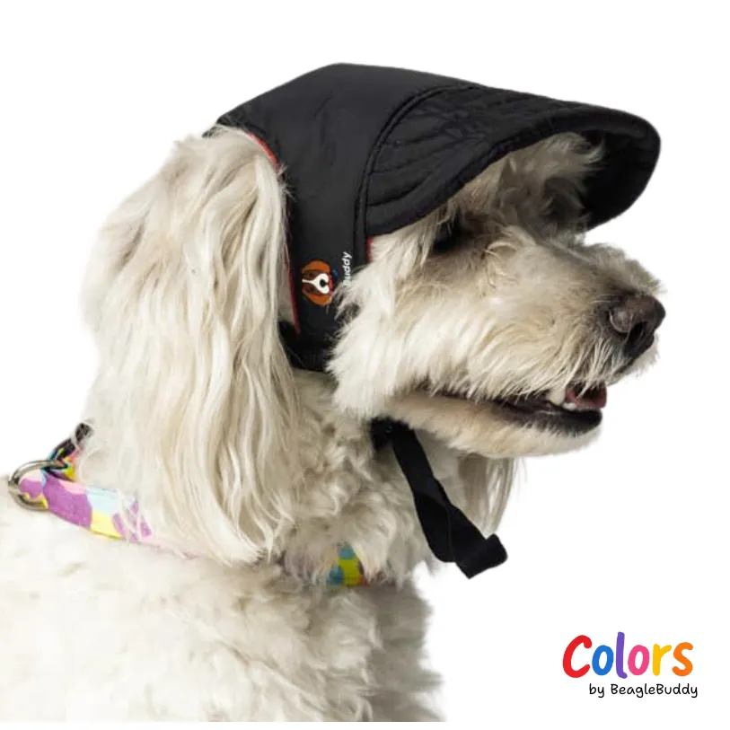 Gorra Negra - BeagleBuddy