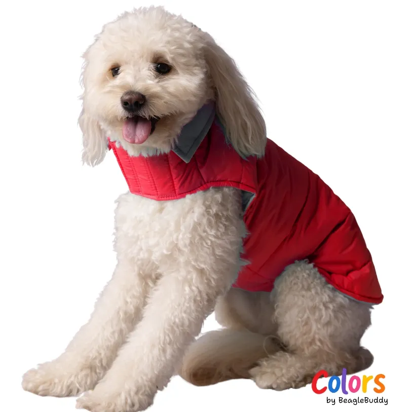 Reversible Waterproof Dog Vest - BeagleBuddy